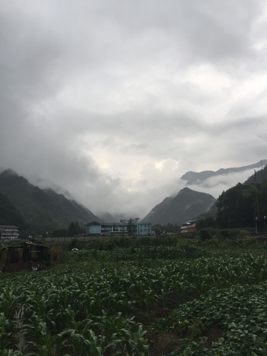 云壩村委會(huì)天氣預(yù)報(bào)更新通知