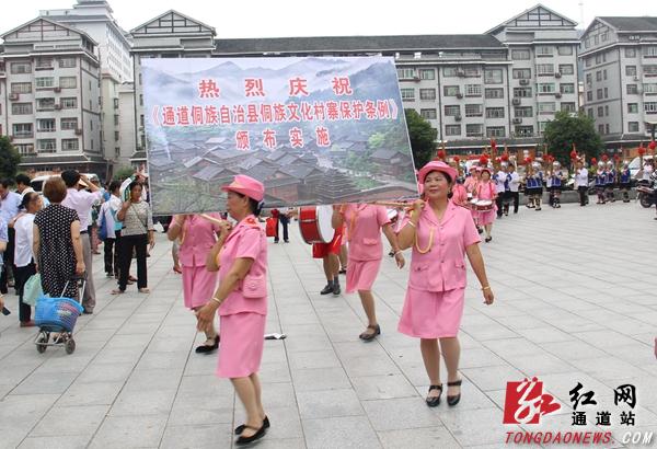 通道侗族自治縣民政局新項(xiàng)目推動(dòng)社區(qū)發(fā)展，提升民生福祉
