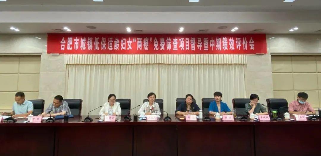 巢湖市財(cái)政局發(fā)展規(guī)劃，構(gòu)建現(xiàn)代化財(cái)政體系，推動城市繁榮發(fā)展