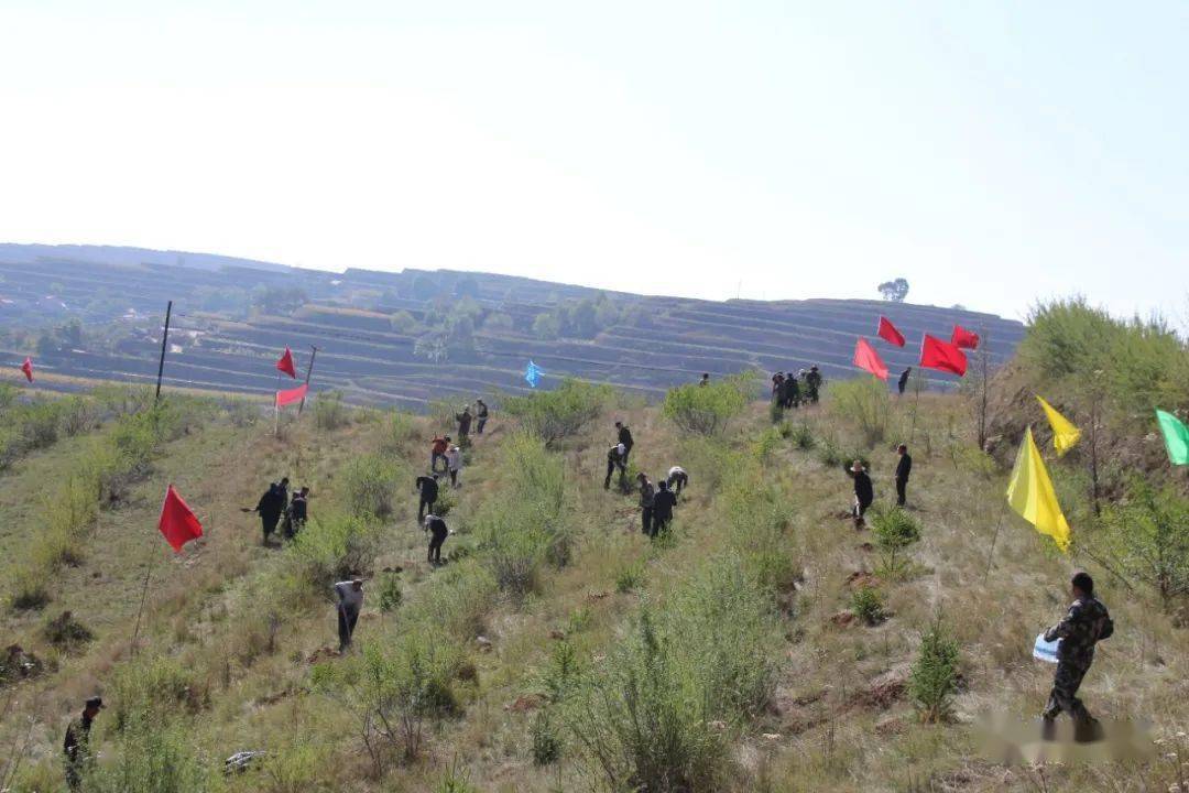 石峽灣鄉(xiāng)領導團隊重塑鄉(xiāng)村未來篇章，引領新篇章發(fā)展之路