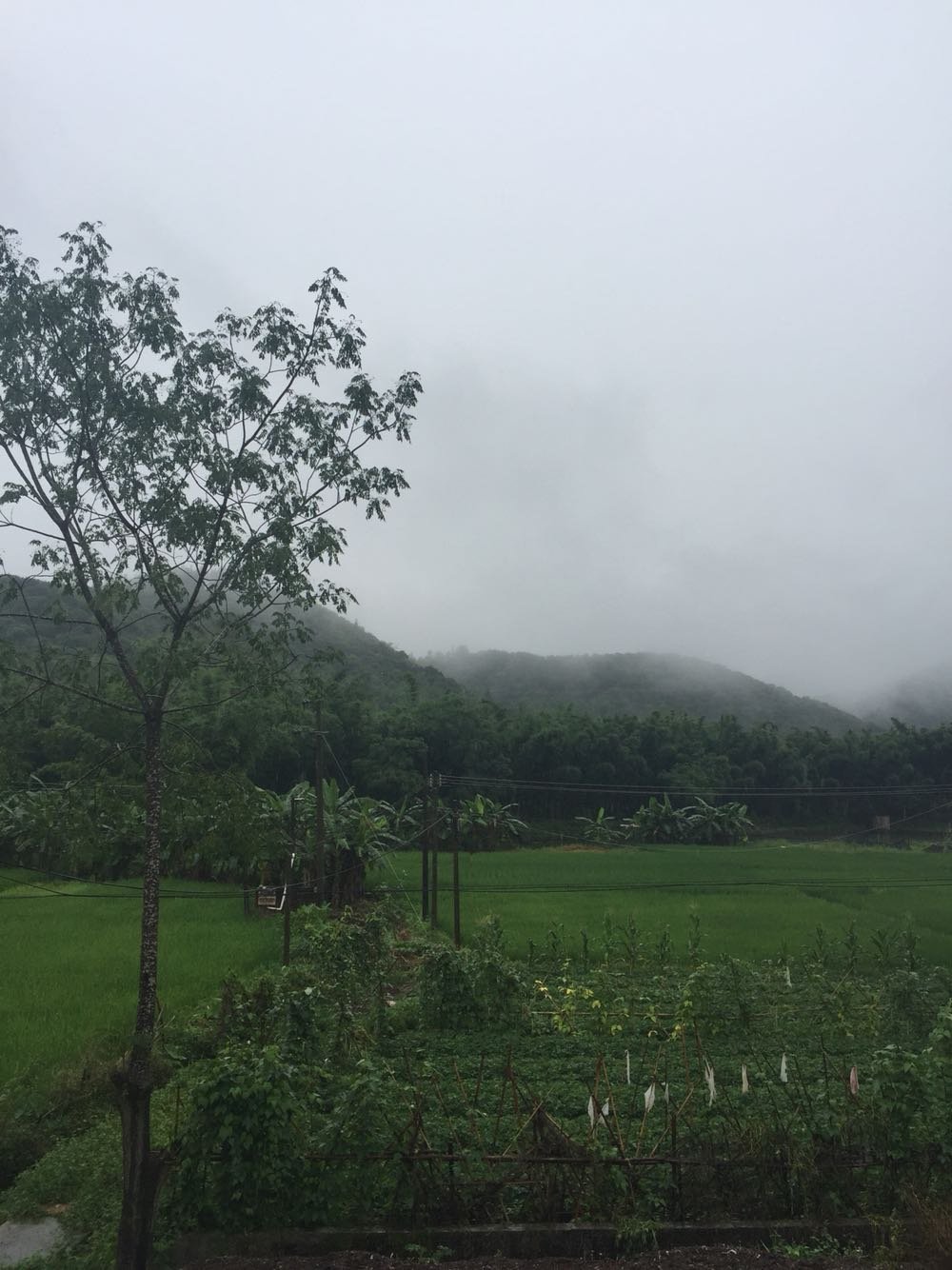 下竜布村委會(huì)天氣預(yù)報(bào)更新通知