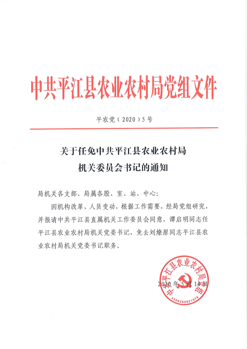 灣口村民委員會(huì)人事任命更新及其社區(qū)影響展望
