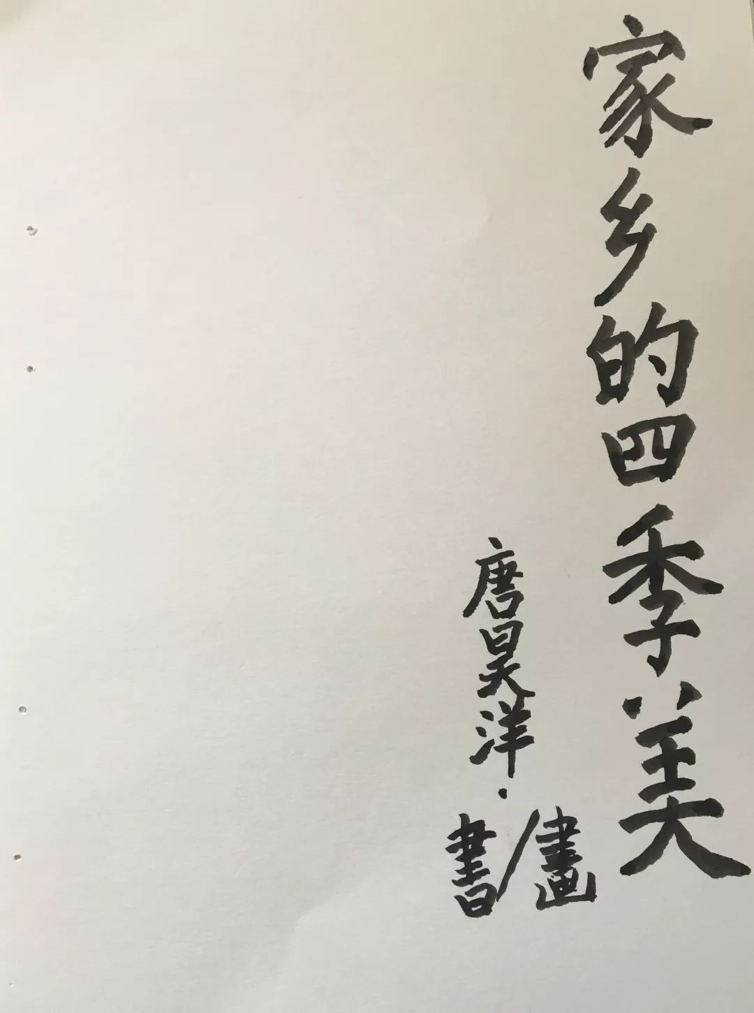 鐘明秋與趙晨的杰出創(chuàng)作，探尋最優(yōu)秀作品之旅