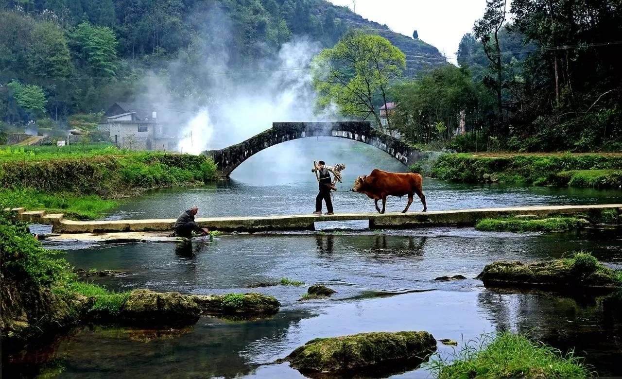 清水塘街道天氣預(yù)報(bào)及氣象深度分析