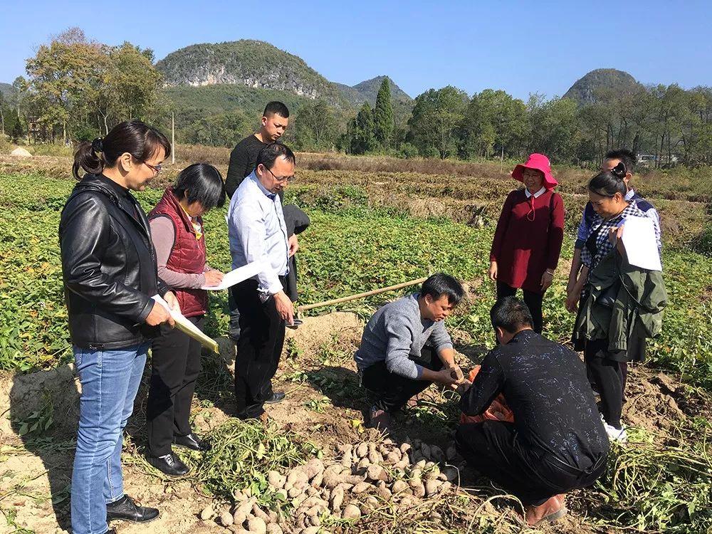 合浦縣科技局人事任命激發(fā)創(chuàng)新活力，推動縣域高質量發(fā)展新篇章