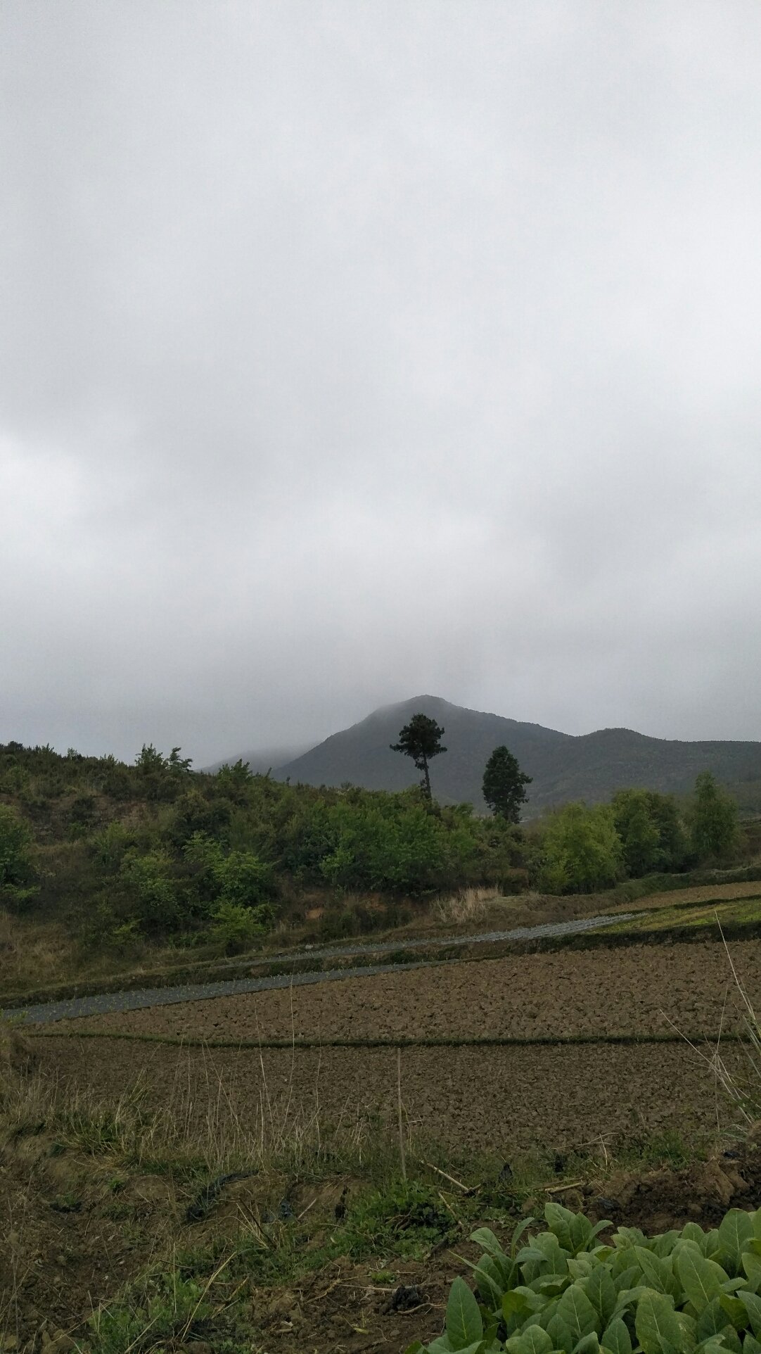 白塔集鄉(xiāng)天氣預(yù)報(bào)更新通知