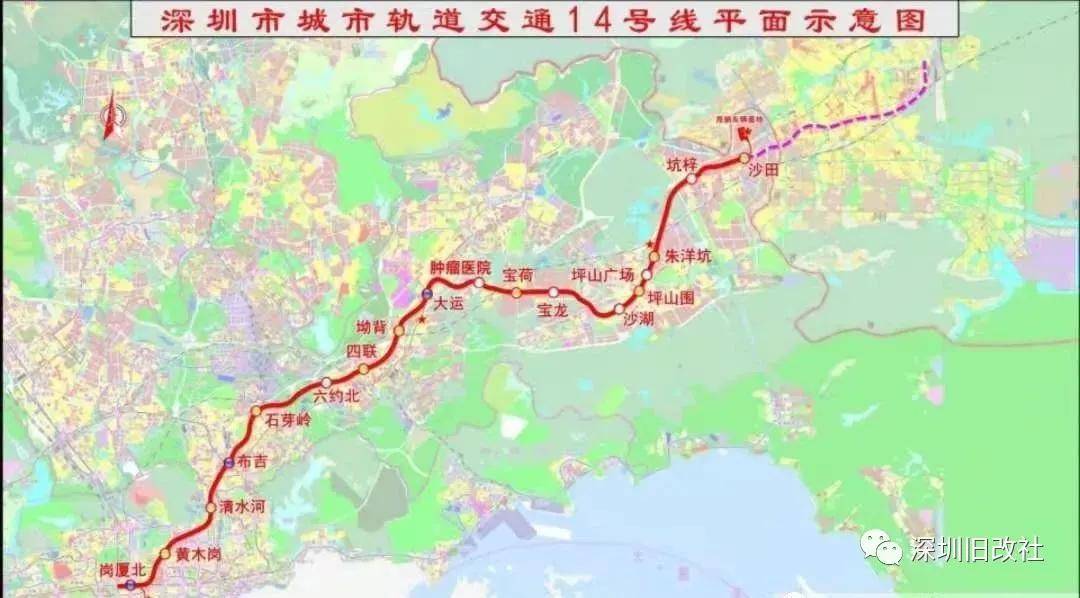 君平街社區(qū)交通最新動(dòng)態(tài)