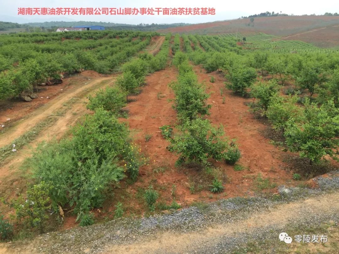 泗水縣農(nóng)業(yè)農(nóng)村局最新動態(tài)報道