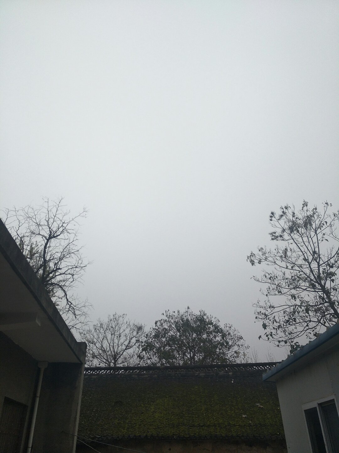 道口鎮(zhèn)最新天氣預(yù)報詳解，天氣狀況及趨勢分析
