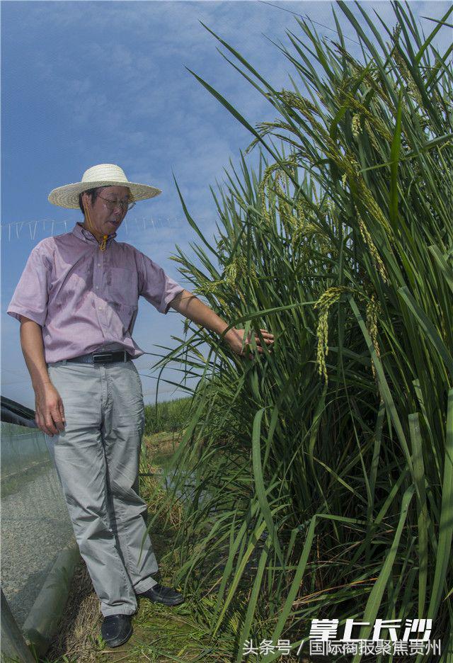 長(zhǎng)沙市社會(huì)科學(xué)院，前沿研究推動(dòng)城市繁榮發(fā)展最新新聞速遞