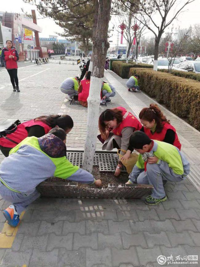 榆陽區(qū)小學最新動態(tài)報道