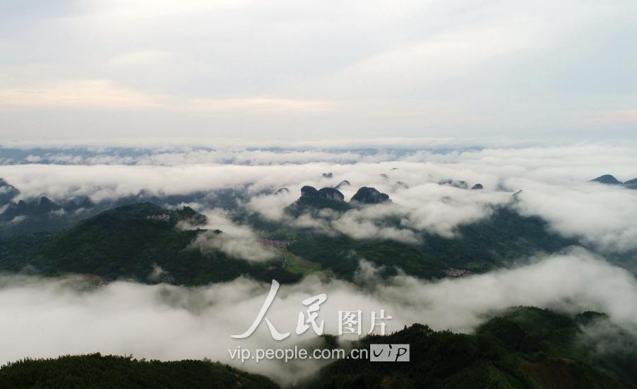 羅城仫佬族自治縣住房和城鄉(xiāng)建設(shè)局人事任命揭曉，塑造未來(lái)城市新篇章