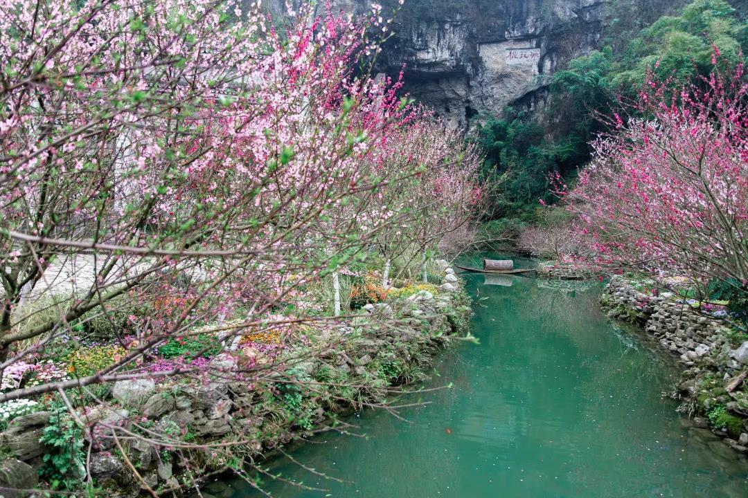 桃花源街道天氣預報更新通知