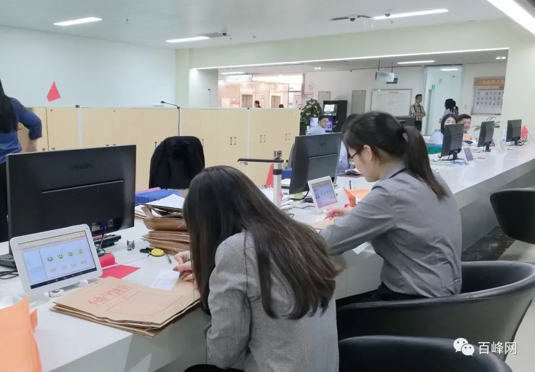 那坡縣數(shù)據(jù)和政務服務局最新招聘信息全面解析