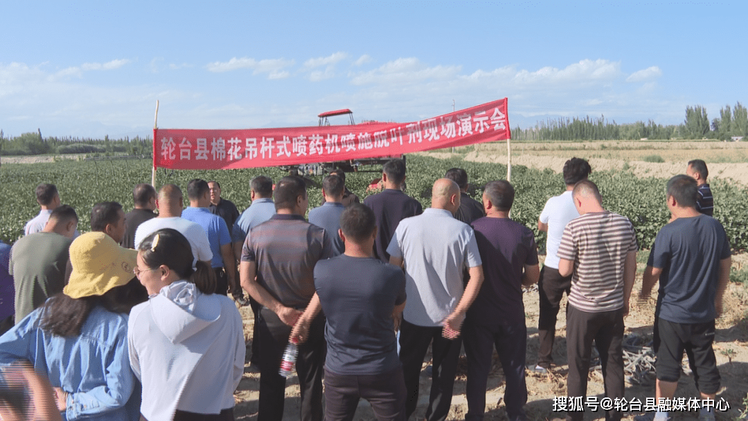 輪臺縣農(nóng)業(yè)農(nóng)村局最新發(fā)展規(guī)劃概覽