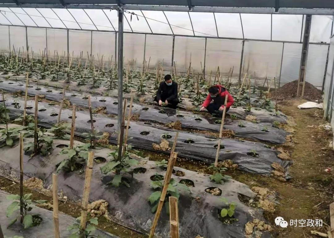 政和縣醫(yī)療保障局最新招聘啟事