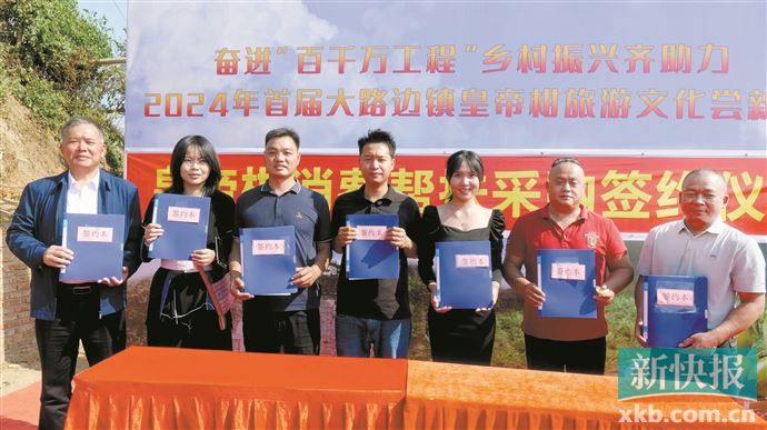 大路邊鎮(zhèn)最新新聞速遞
