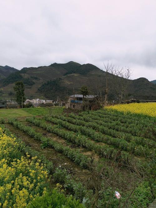 佐如村最新天氣預(yù)報(bào)通知