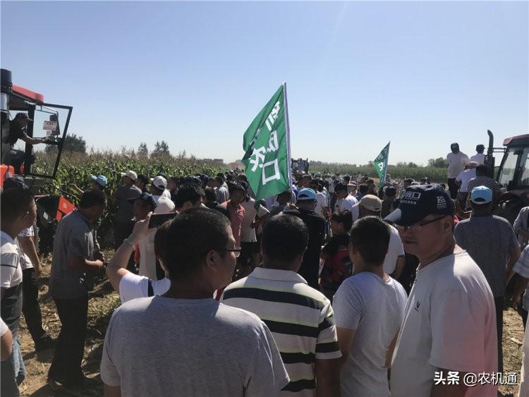 高陽縣市場監(jiān)督管理局未來發(fā)展規(guī)劃展望