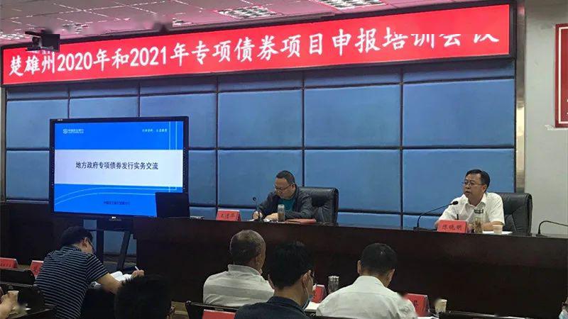 伊寧縣發(fā)展和改革局最新項目概覽及動態(tài)分析