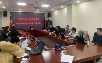 定遠(yuǎn)縣審計局最新項目推動縣域經(jīng)濟(jì)健康發(fā)展，展現(xiàn)審計力量風(fēng)采