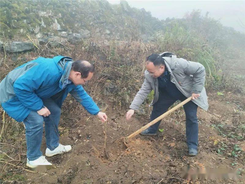 強林村新項目啟動，鄉(xiāng)村振興的新動力