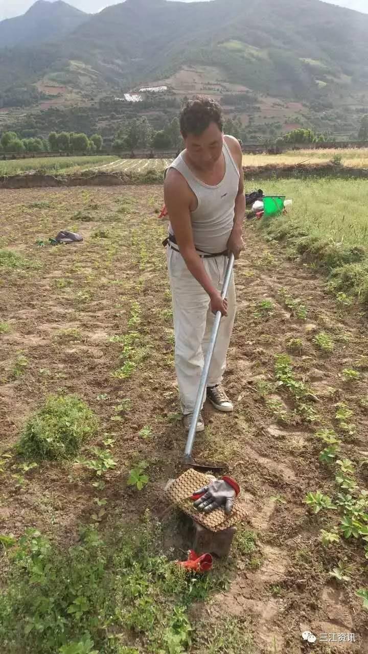 上江鄉(xiāng)新項目，鄉(xiāng)村發(fā)展的璀璨明珠引領(lǐng)未來