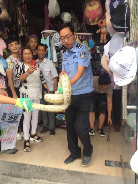 嵐皋縣成人教育事業(yè)單位新項目，縣域教育現(xiàn)代化重要推動力